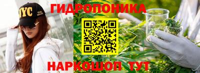 соль ск Пушкино