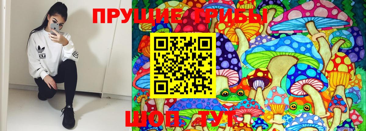 Озёры  Галлюциногенные грибы мицелий  купить наркоту  Галлюциногенные грибы мицелий  Вход с VPN 